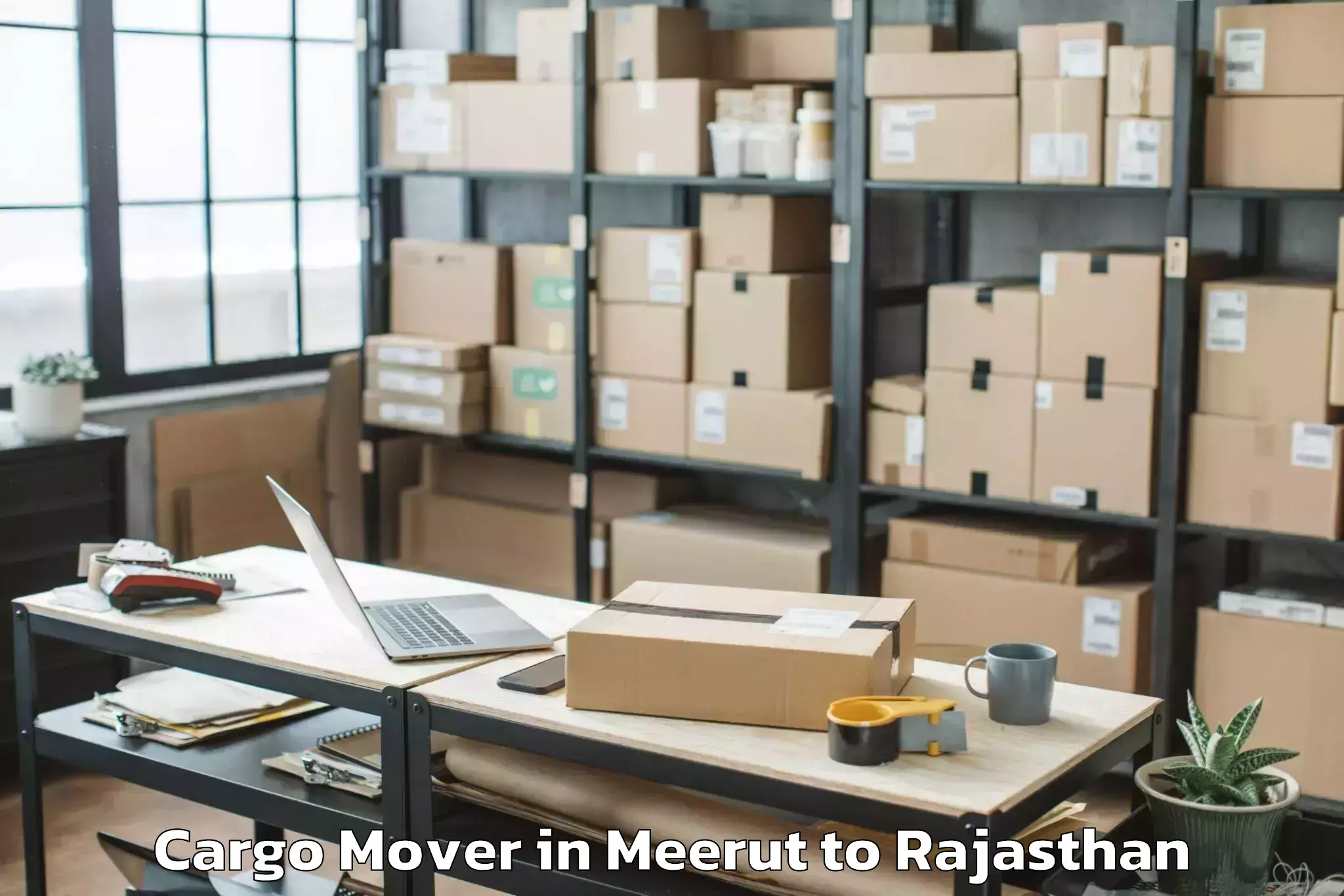 Hassle-Free Meerut to Shahpura Cargo Mover